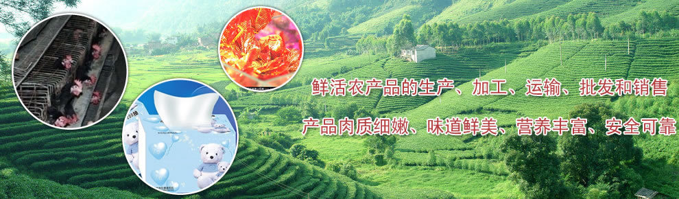 联系我们